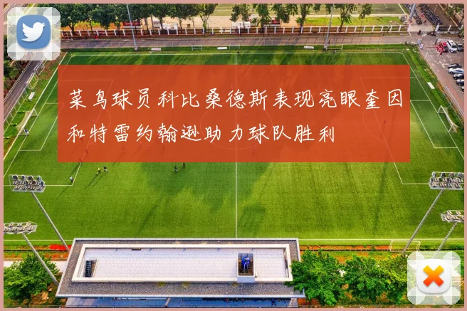 菜鸟球员科比桑德斯表现亮眼奎因和特雷约翰逊助力球队胜利